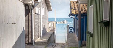 A narrow pathway leading to a dock with a view of the sea.