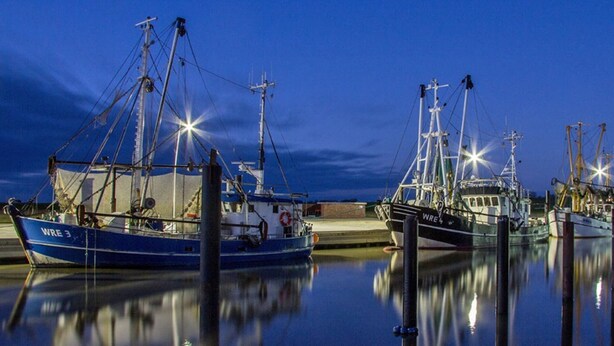 Uma marina com vários barcos de pesca atracados à noite.