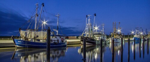 Family friendly holiday house, near the beach, pets allowed, for 2-6 pers.