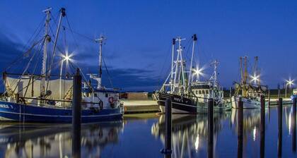 Family friendly holiday house, near the beach, pets allowed, for 2-6 pers.