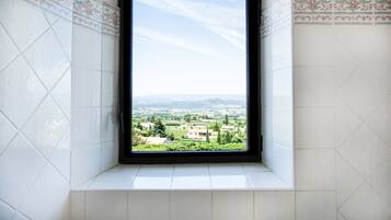 A window with a view of a residential area and distant mountains.