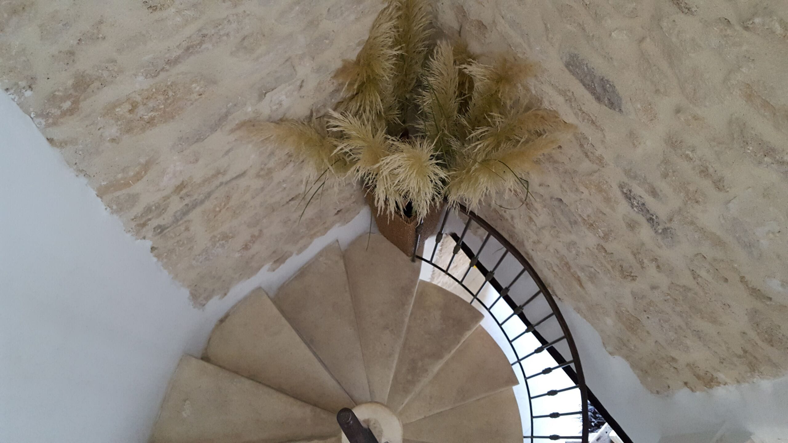 En spiraltrappe med en palmeplante øverst.