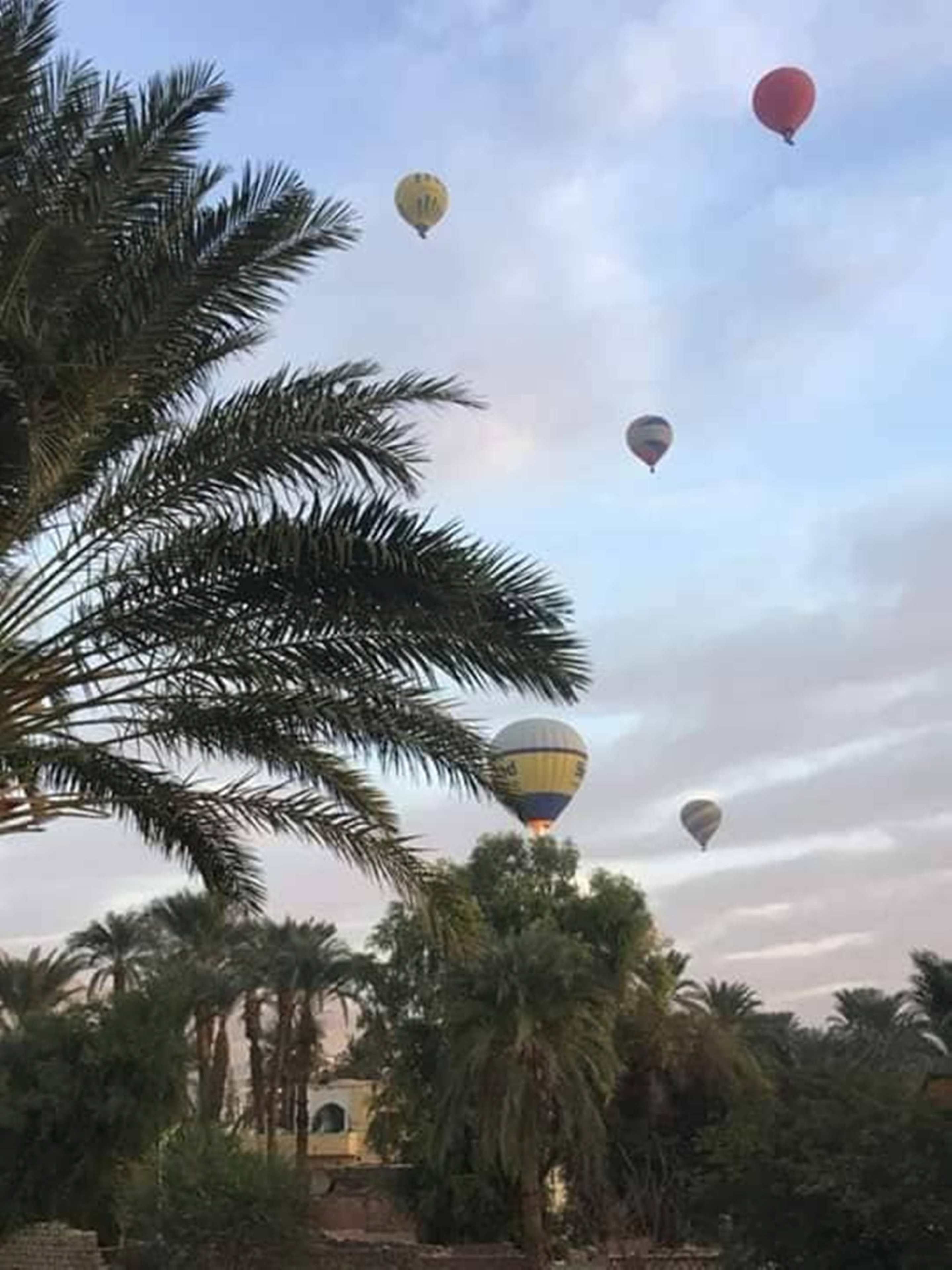 Foto - Amenophis Hotel