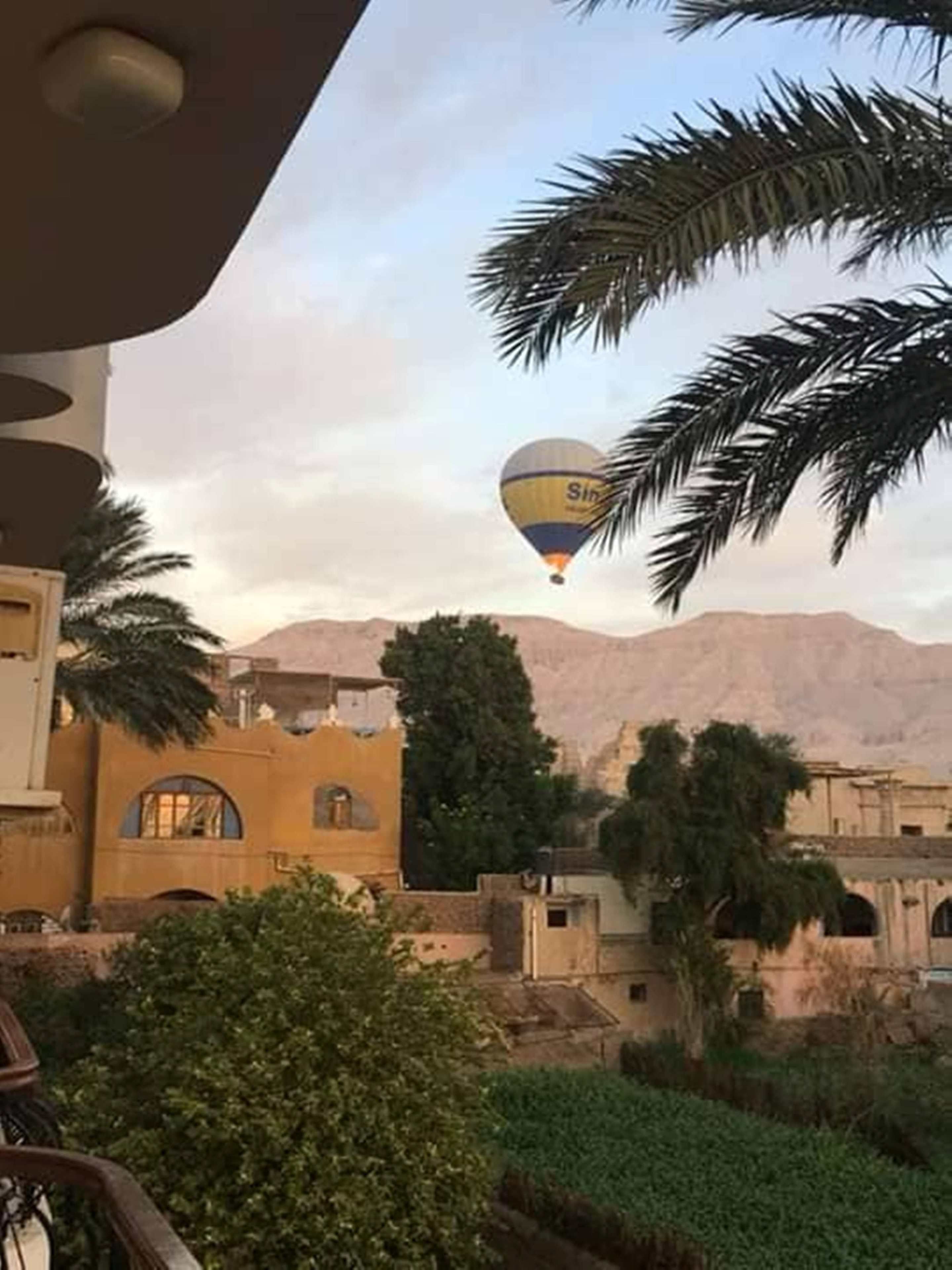 Foto - Amenophis Hotel