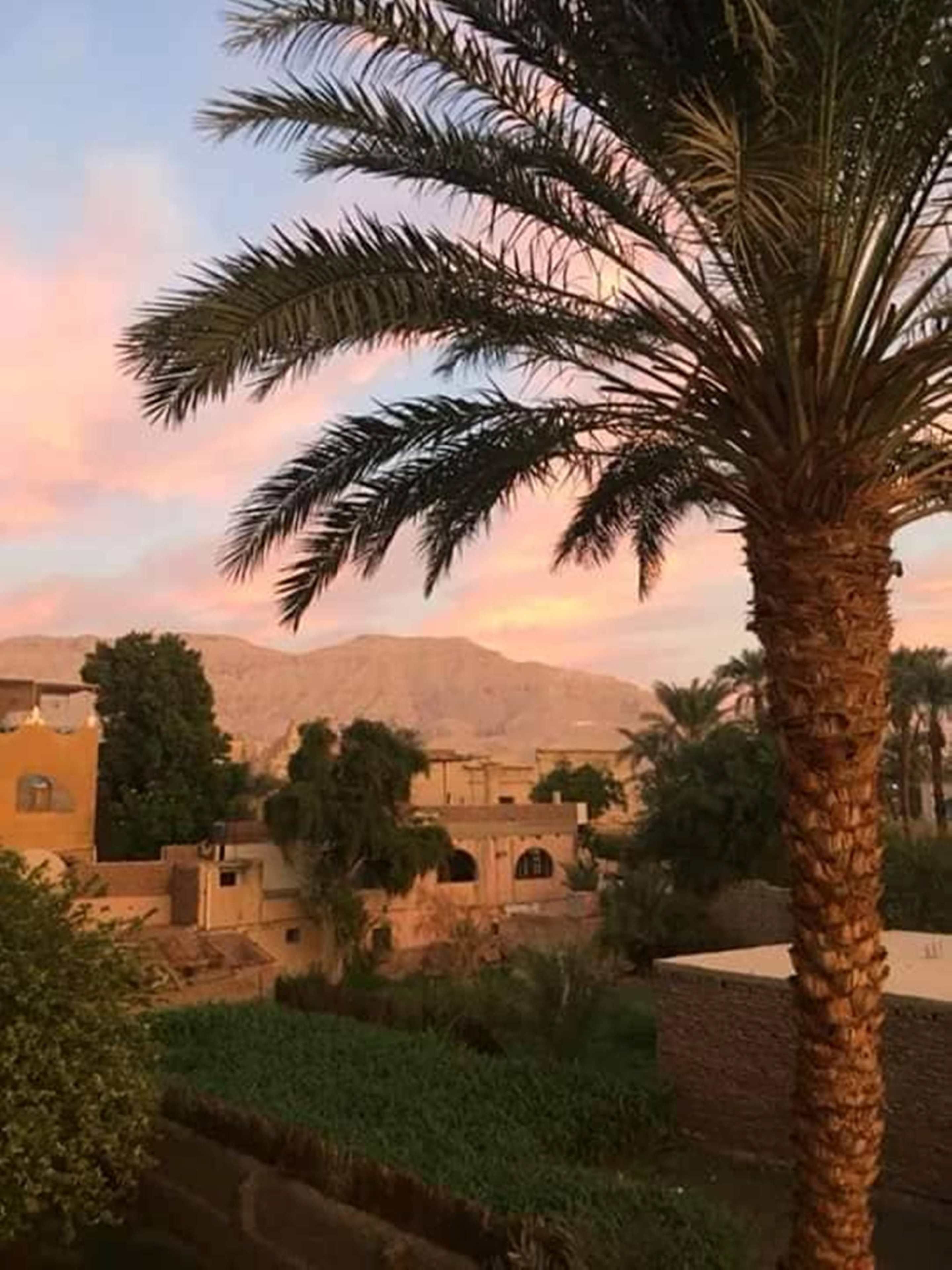 Foto - Amenophis Hotel