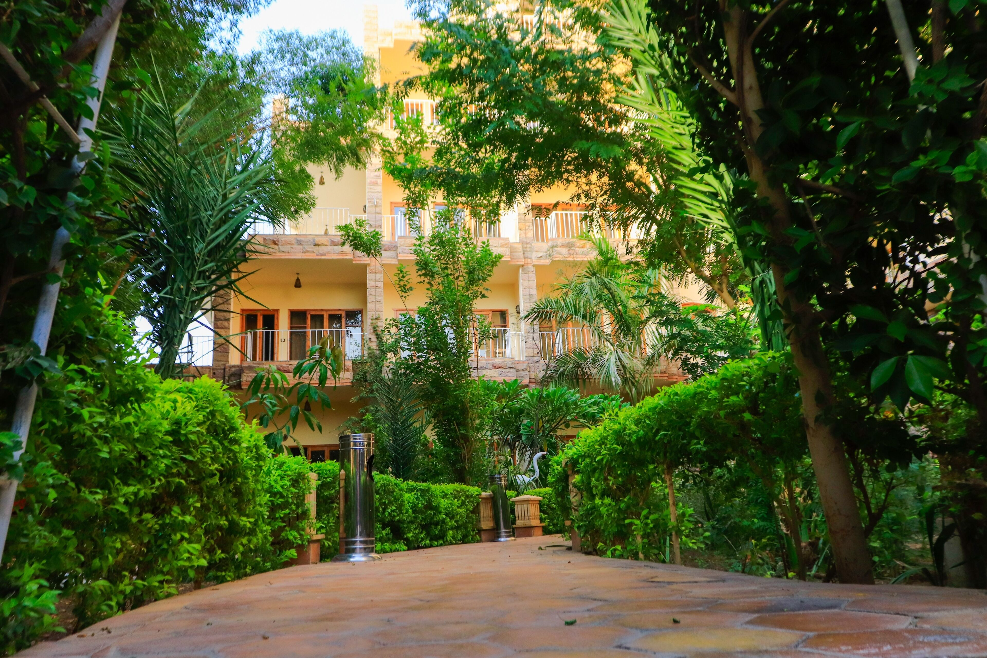 Garden view