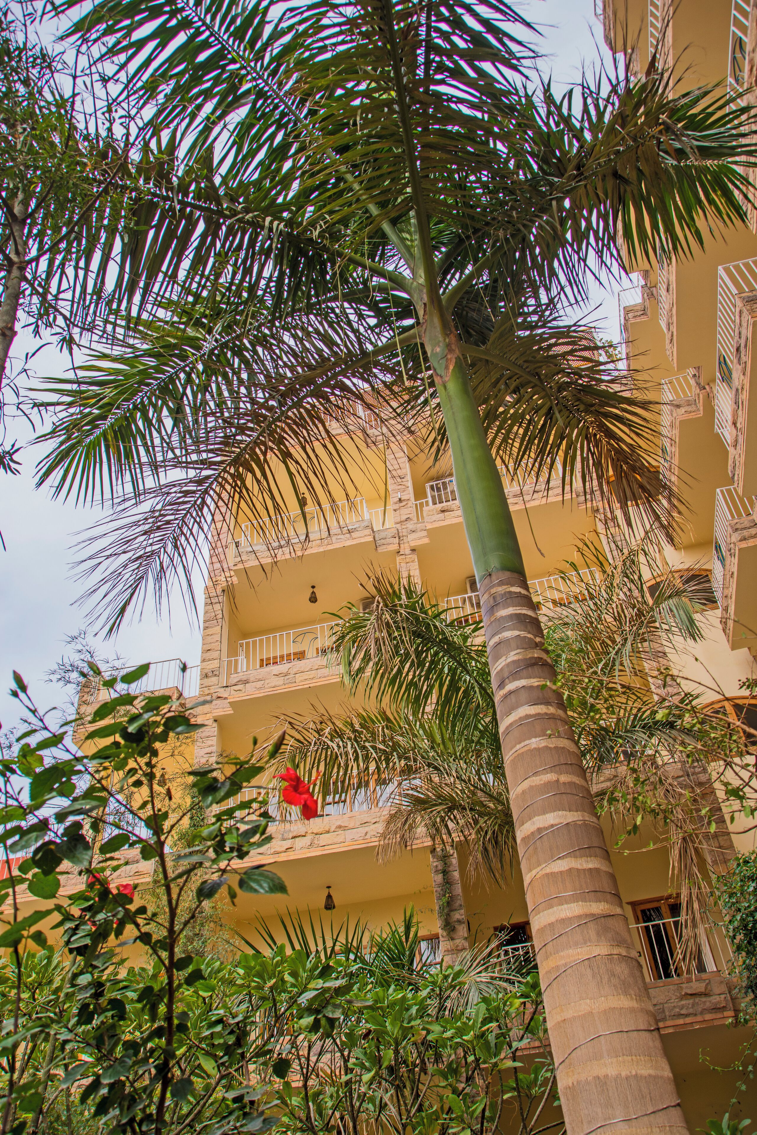 Photo - Thebes Hotel