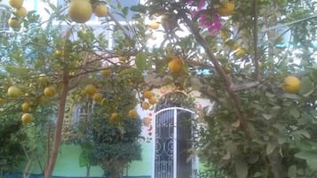 Entrada al alojamiento
