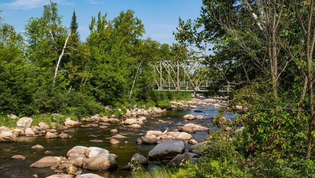 Un río con rocas grandes, rodeado de árboles verdes y frondosos y un puente de metal al fondo.