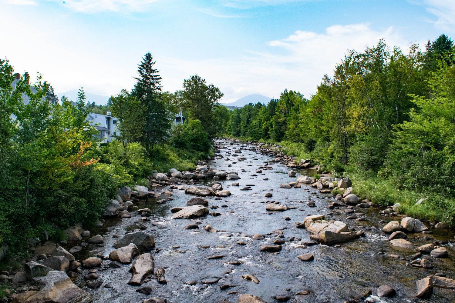 Un río serpenteando a través de una zona boscosa con rocas y árboles.