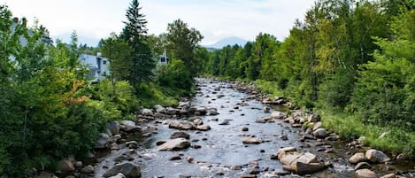 Un río serpenteando a través de una zona boscosa con rocas y árboles.