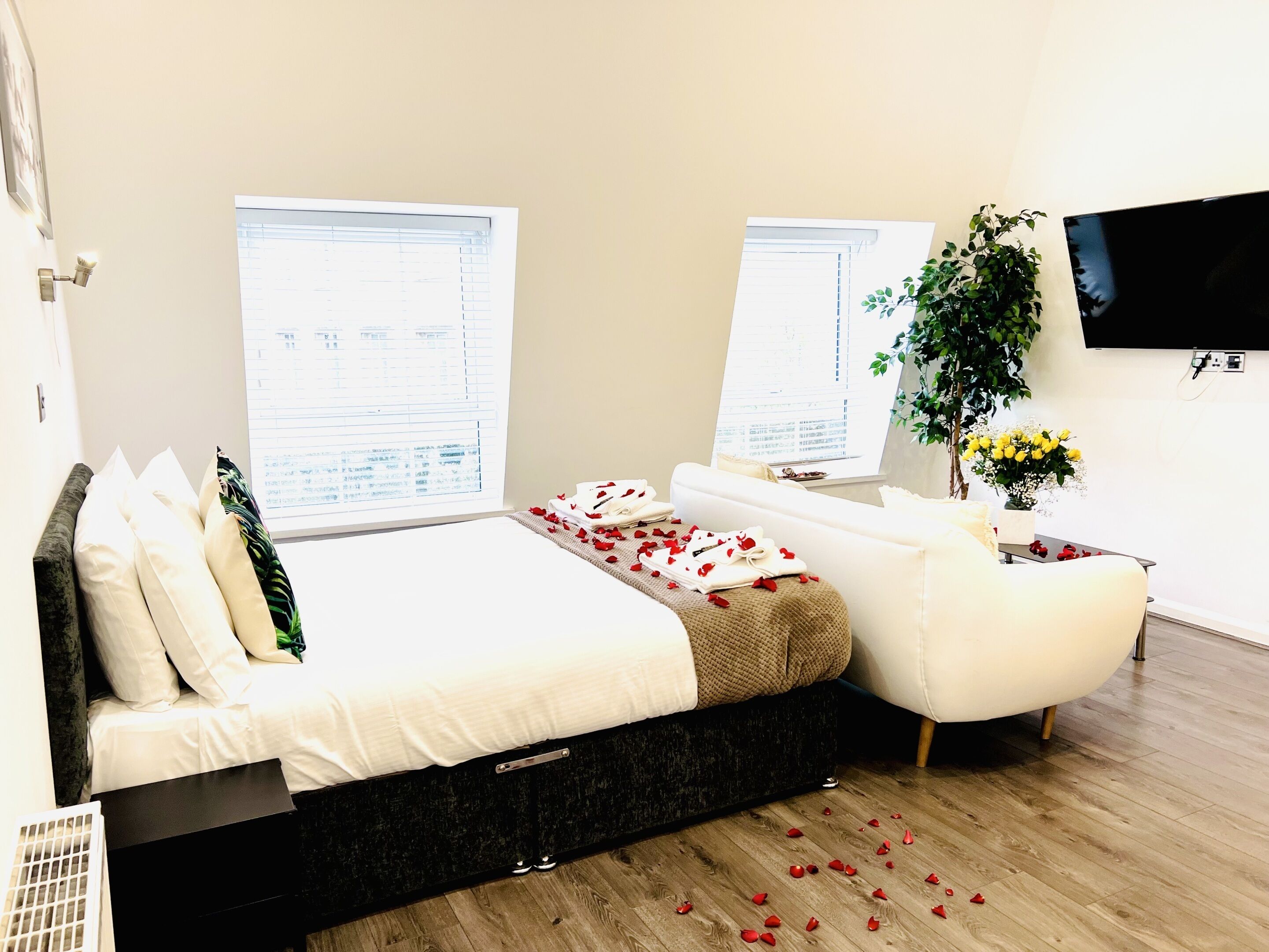 Studio – deluxe, eget bad (King Studio) | Innvendig