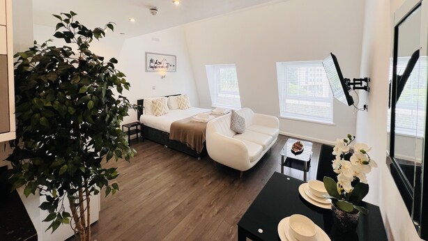 Una habitación de hotel moderna con cama, sofá, mesa de comedor y una planta grande en maceta.