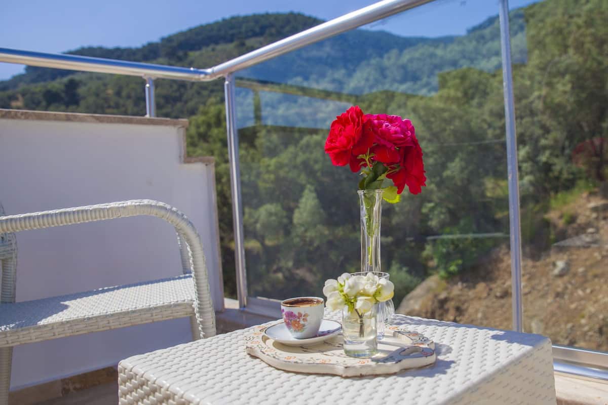 Suite Junior, vue montagne