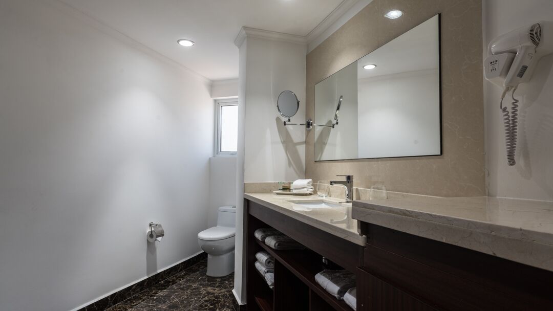 standard single room, 1 queen bed | bathroom | shower, hair dryer, towels, toilet paper