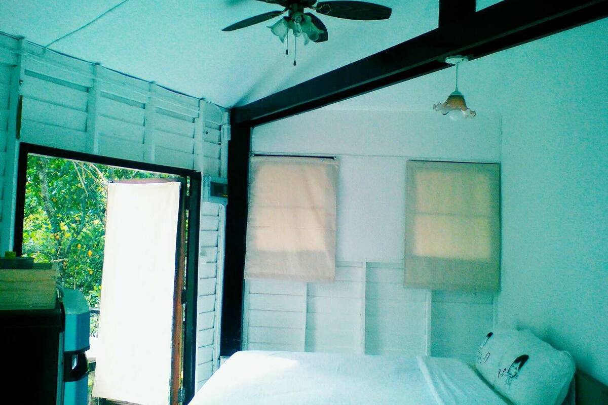 Quarto com cama, ventilador de teto e janela com vista para o verde lá fora.