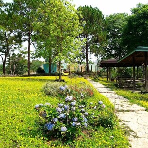 Garden - Red Z Cool Mountain Resort (Khao Kho)