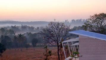 Panorama Plus (air,private bathroom) | Balcony view