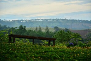 View from property - Red Z Cool Mountain Resort (Khao Kho)