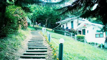 Forest (aircon,private bathroom) | View from room