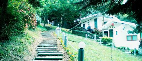 Forest (aircon,private bathroom) | Vistas desde la habitación