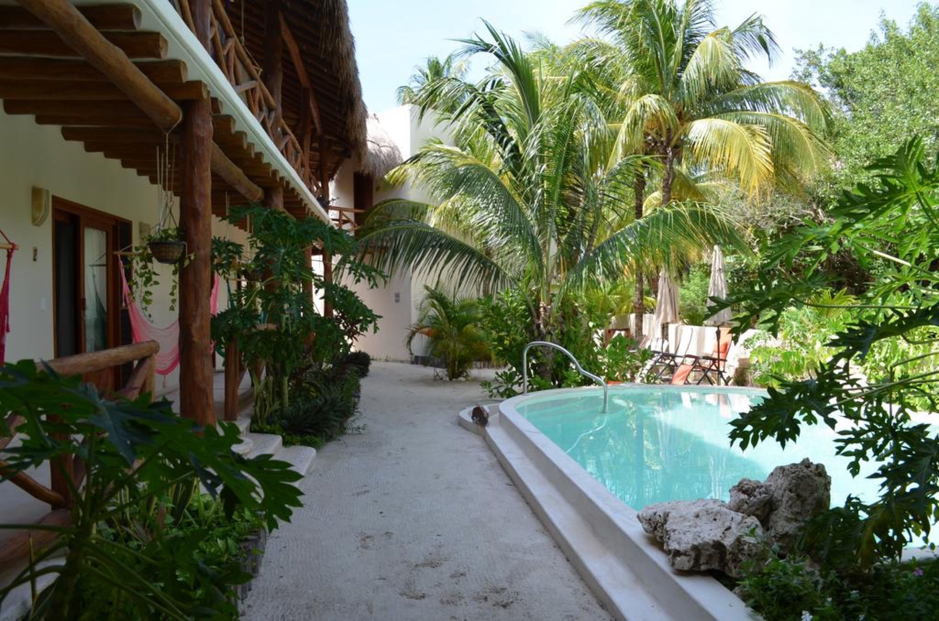 A pool area with a concrete edge, surrounded by tropical plants and palm trees.