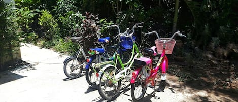 Una fila de bicicletas estacionadas en un sendero de concreto, rodeadas de exuberante vegetación.