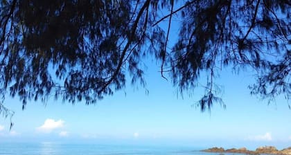 Vanavaree Resort