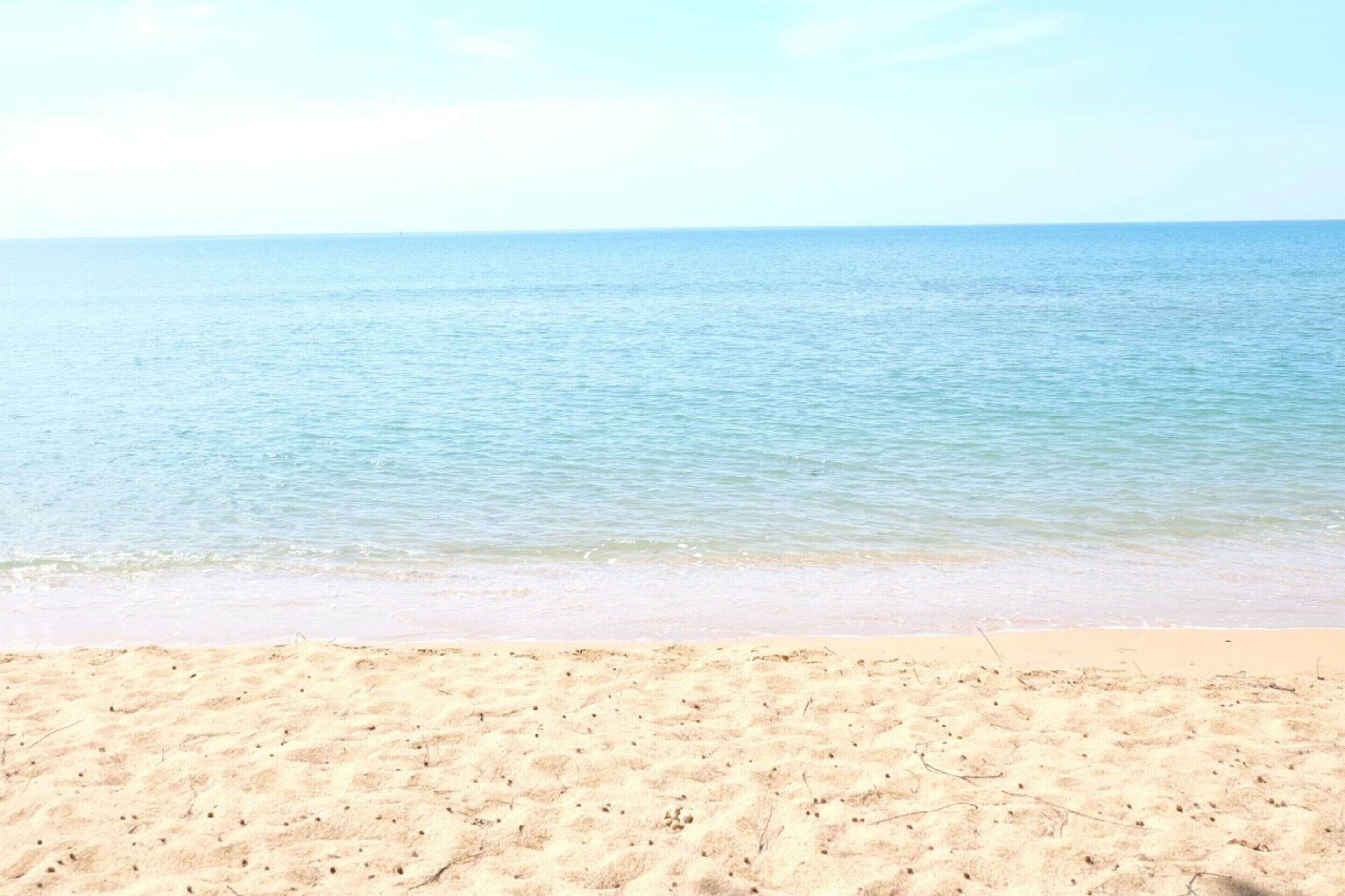 Una playa con agua cristalina y una orilla arenosa.