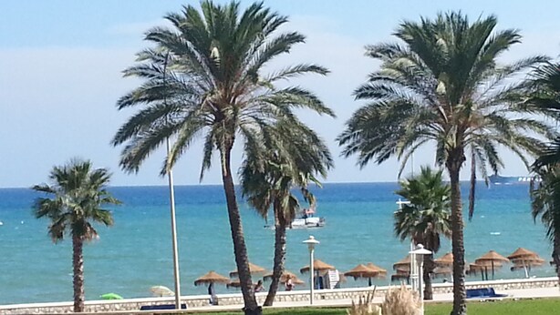 Blick auf die Küste mit Palmen, einem Strand und einer Promenade mit Sonnenschirmen.