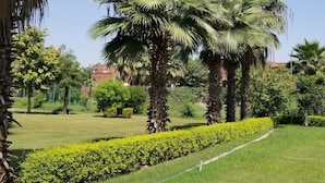 حديقة