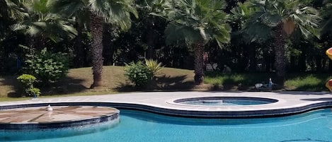 Vista desde la habitación