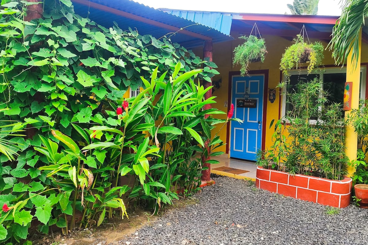 Une cour avec une porte bleue, entourée d’une végétation luxuriante et de plantes en pot.
