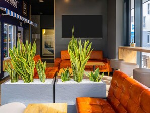 Bar (en la propiedad)