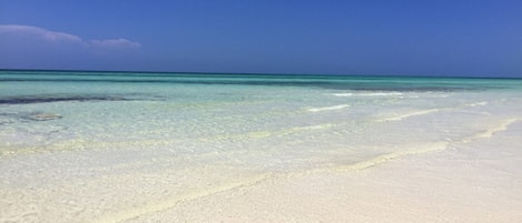Plage, chaises longues, serviettes de plage