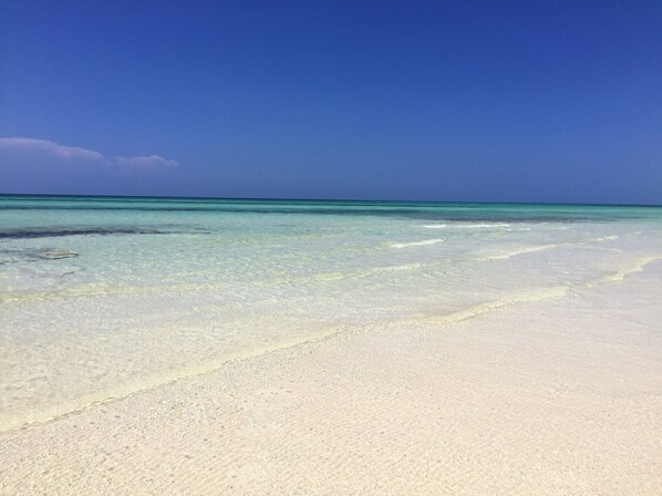Plage, chaises longues, serviettes de plage