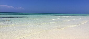 Beachfront condo directly on Grand Bahama's beautiful Coral Beach