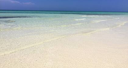 Beachfront condo directly on Grand Bahama's beautiful Coral Beach