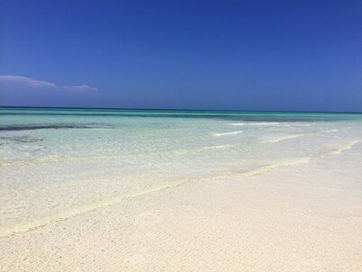 Beachfront condo directly on Grand Bahama's beautiful Coral Beach