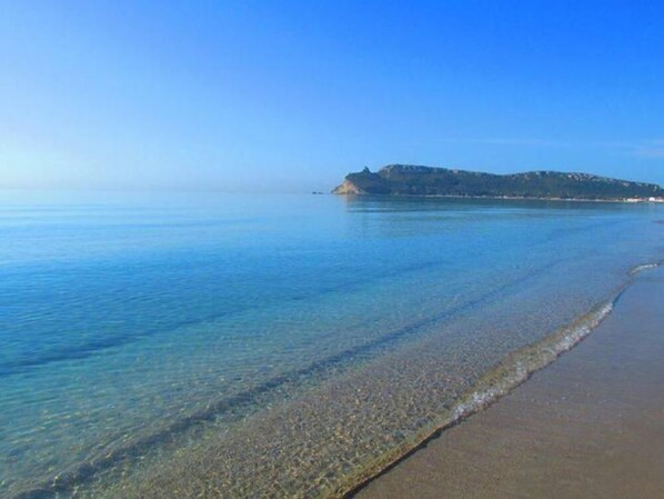 Playa en los alrededores y toallas de playa 