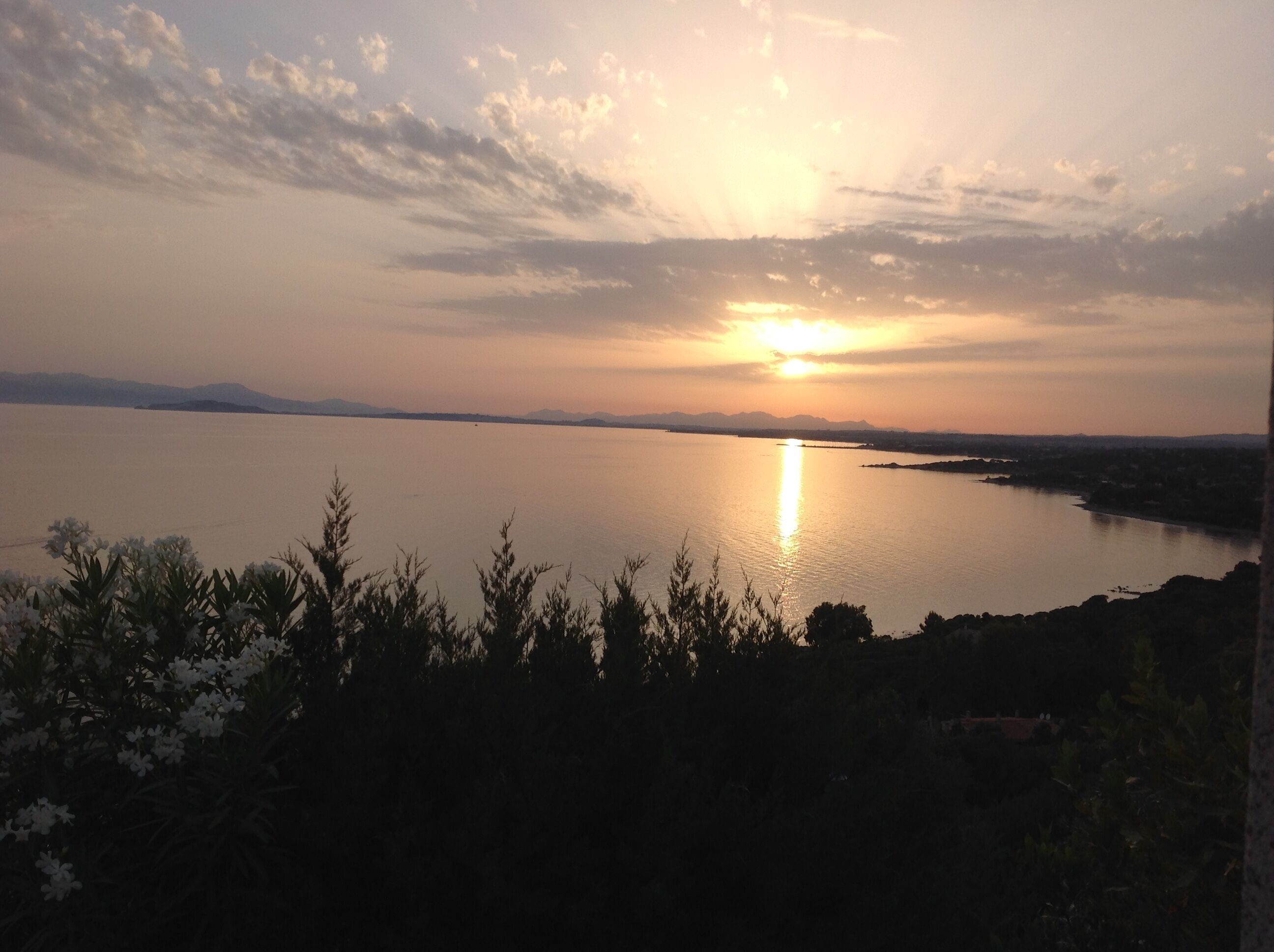 Atardecer sobre un lago tranquilo con montañas a lo lejos y un primer plano de árboles.