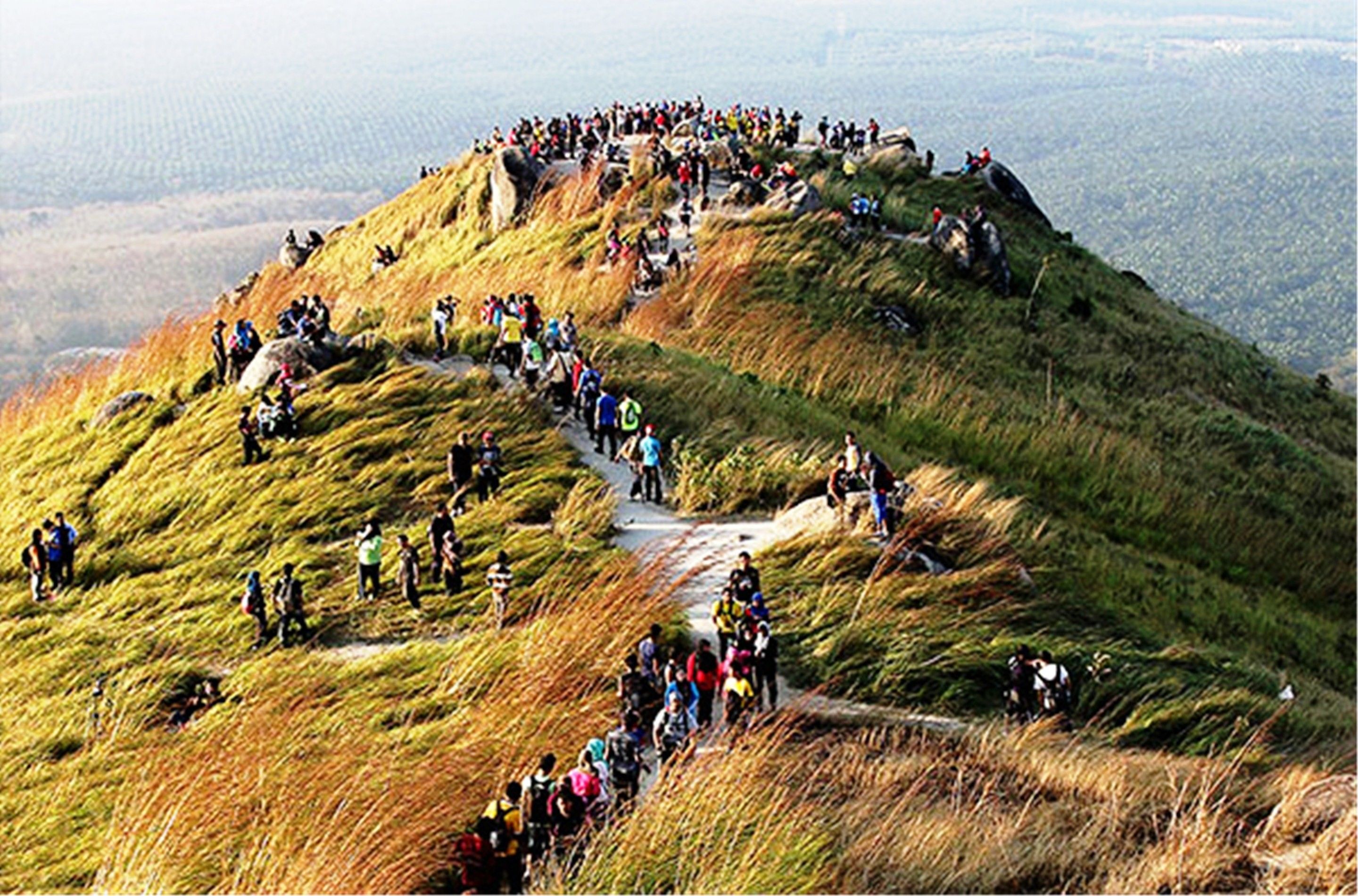 Photo - Hotel Caliber