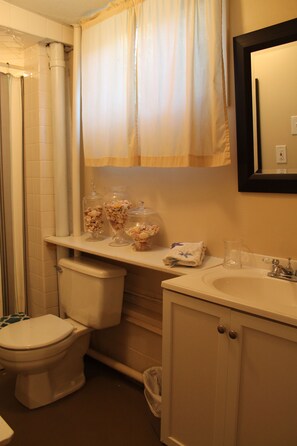 Shower, hair dryer, soap