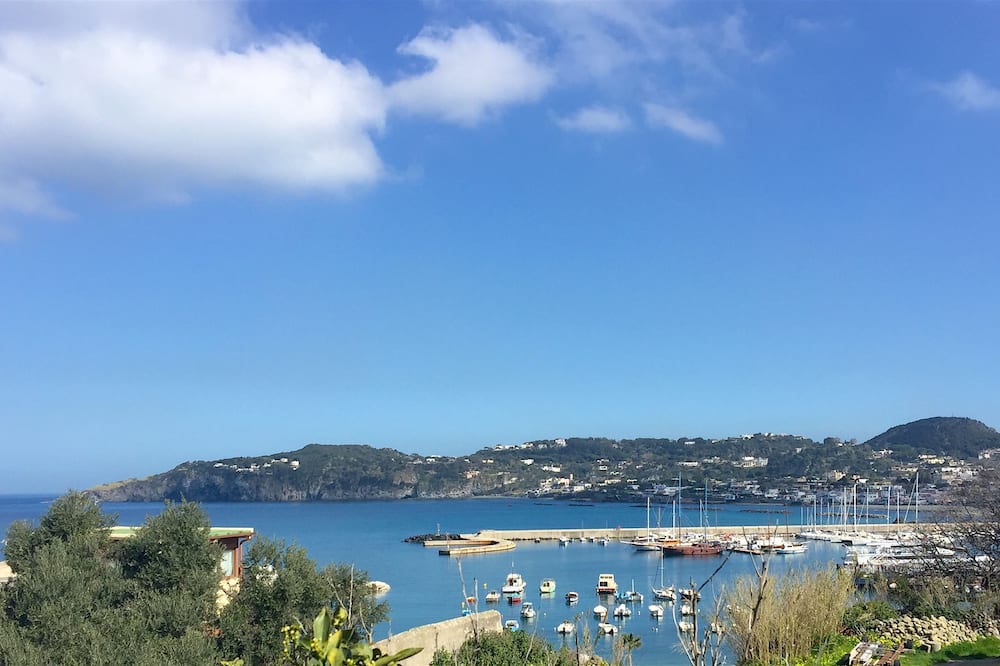 Harbour View