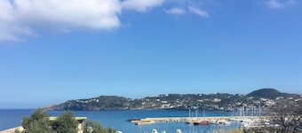 Harbour View