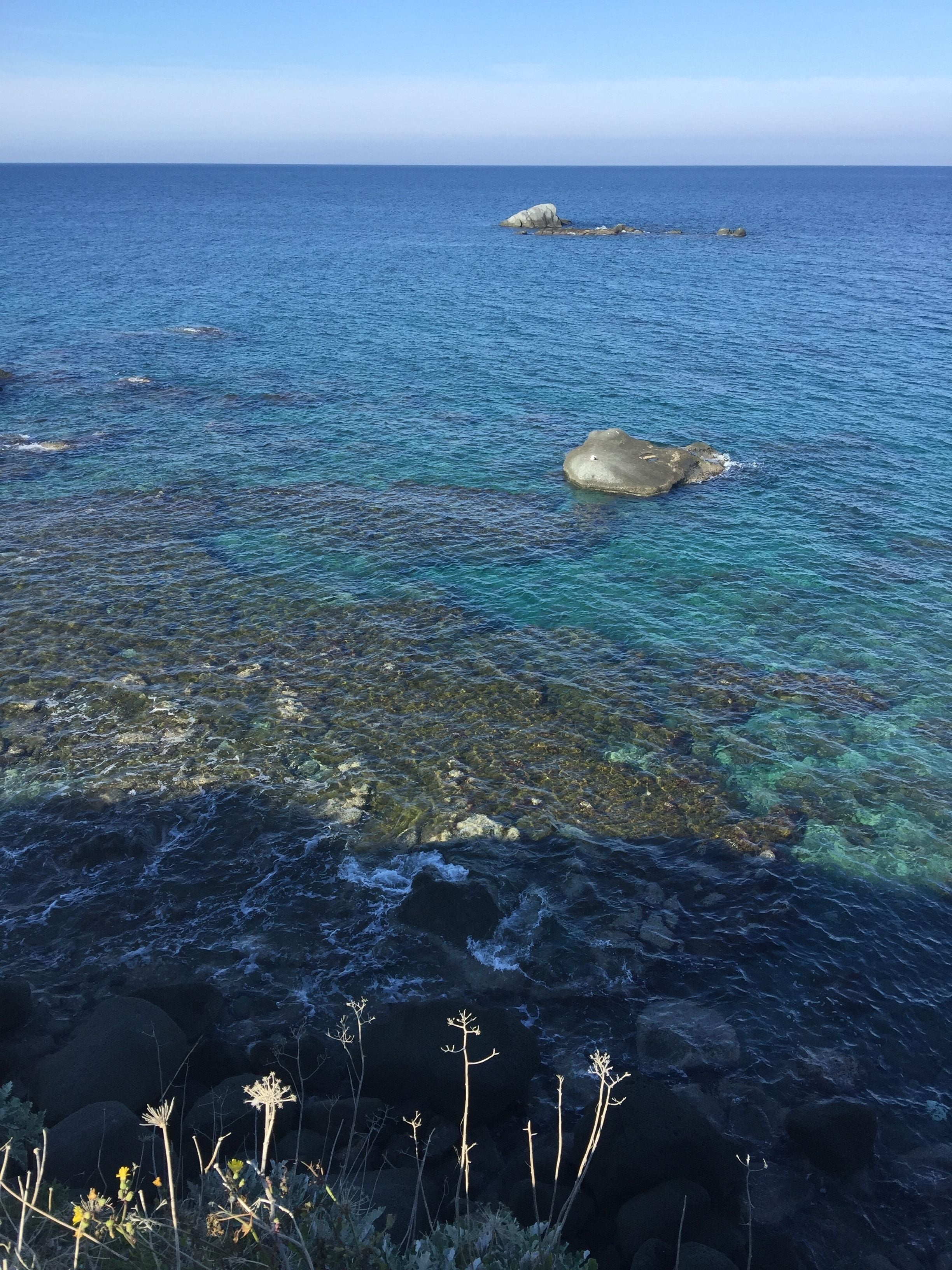 A coastal scene with clear blue water, rocky shore, and sparse vegetation.