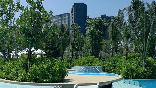 Una piscina con diseño curvo, rodeada de vegetación y un paisaje urbano al fondo.