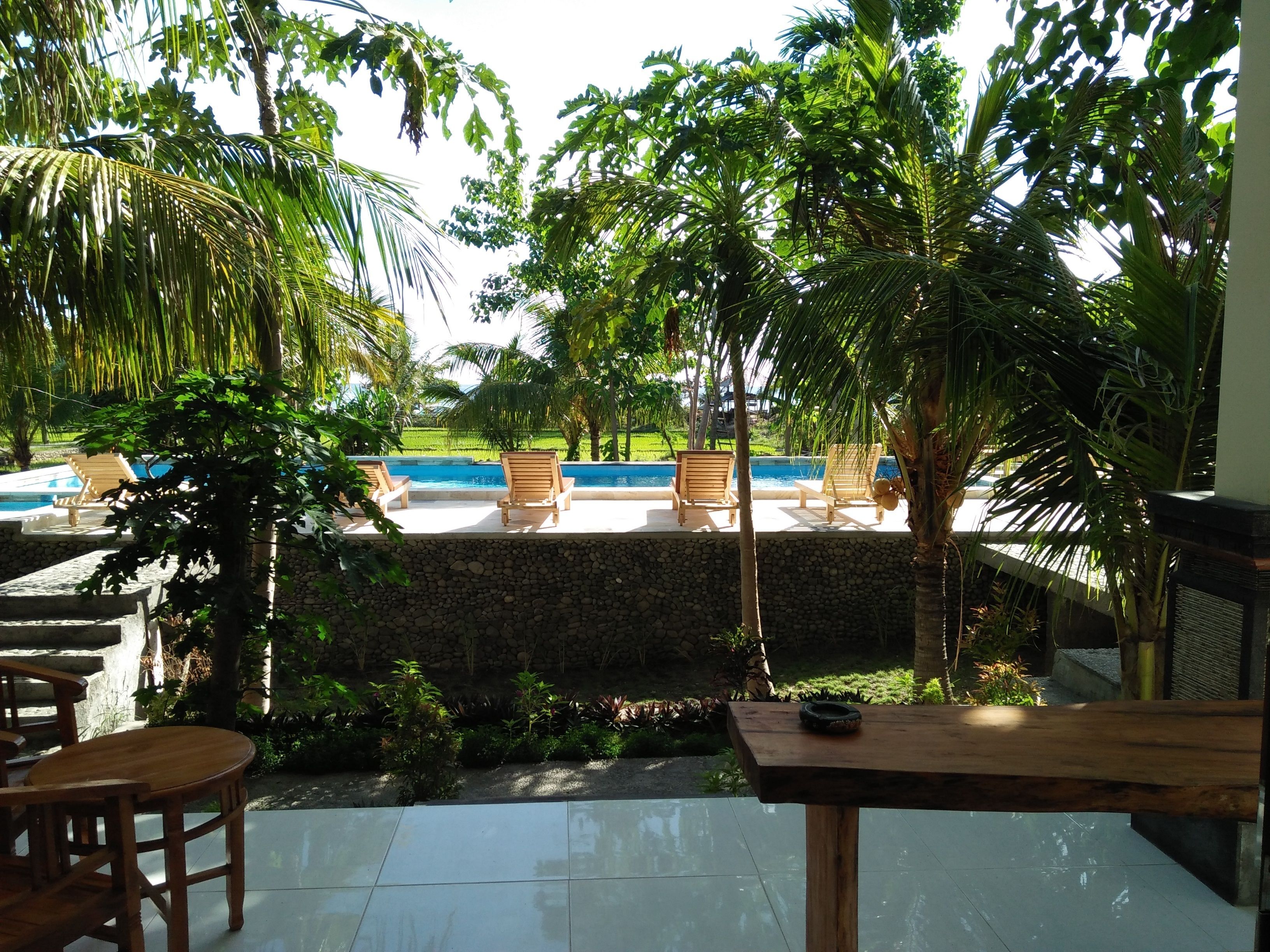 Un espace aménagé au bord de la piscine, avec des chaises longues, un mur en pierre et des plantes tropicales.