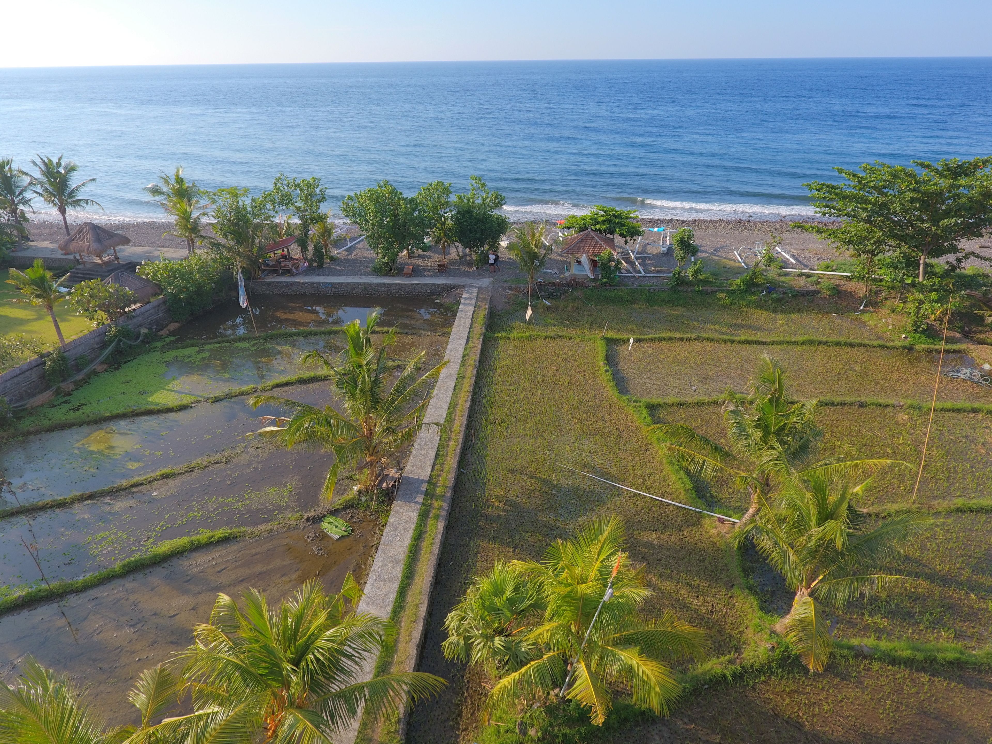 Paisaje costero con arrozales en terrazas, una playa y una vista despejada del océano.