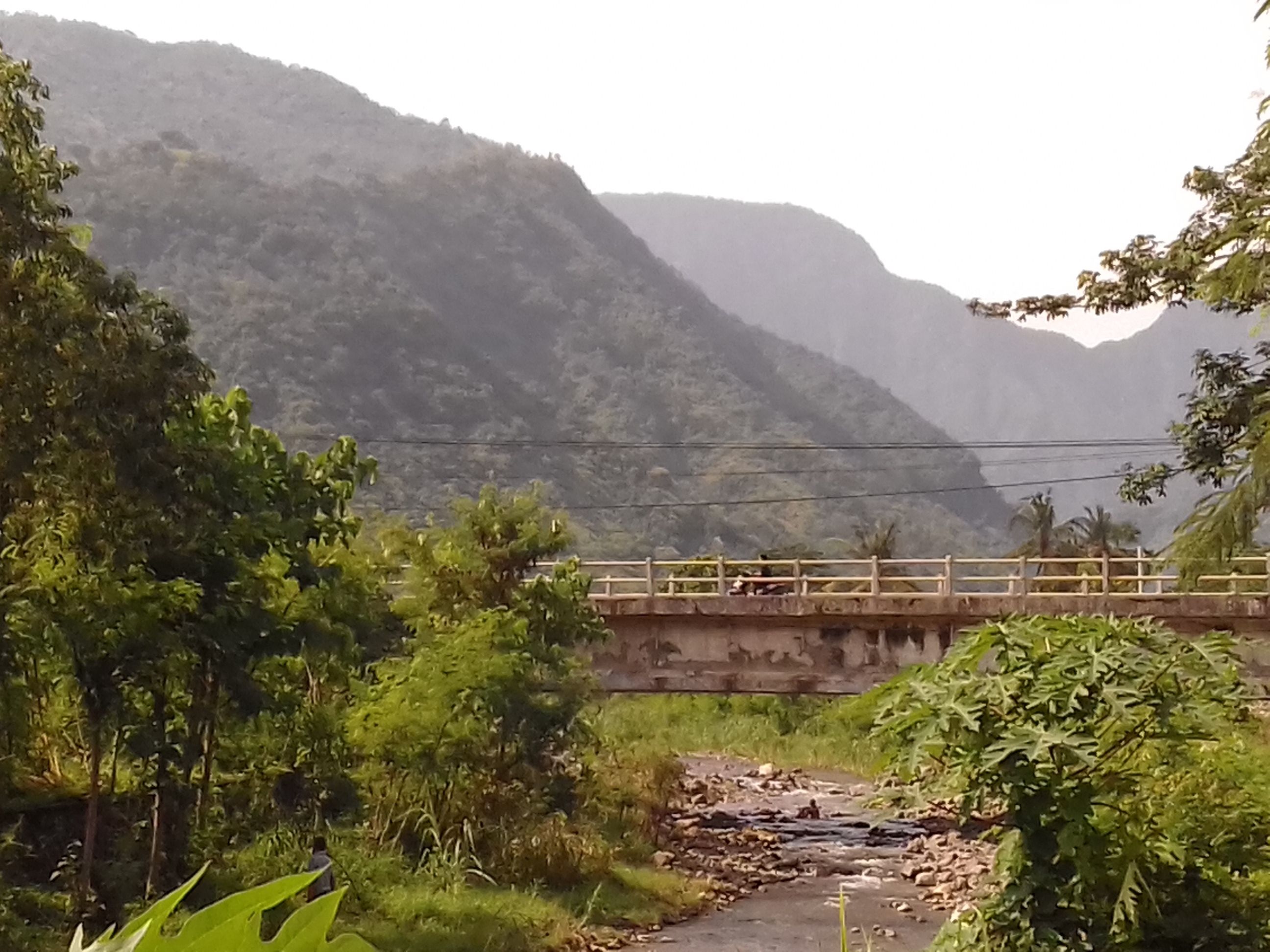 A bridge over a rocky stream with lush greenery and mountains in the background.